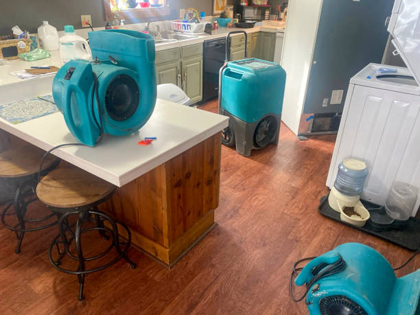 Best Basement water damage restoration  in Middleburg Heights, OH
