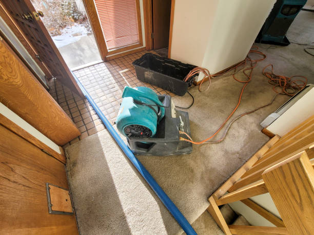 Best 24/7 water damage repair  in Middleburg Heights, OH