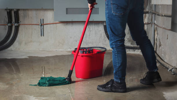 Best Water damage restoration cost  in Middleburg Heights, OH