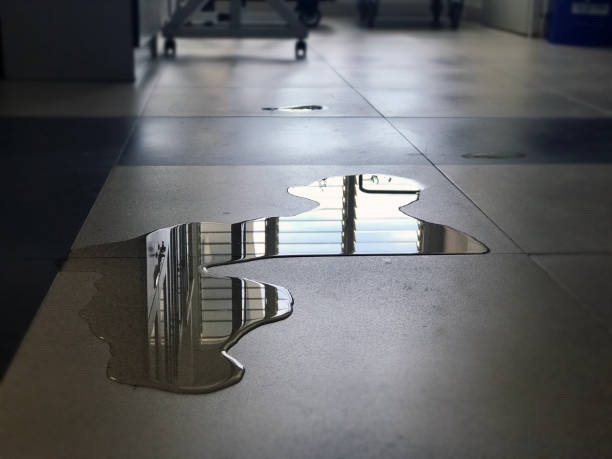 Best Water damage restoration near me  in Middleburg Heights, OH