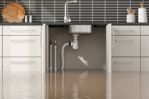 Best Water damage contractors near me  in Middleburg Heights, OH