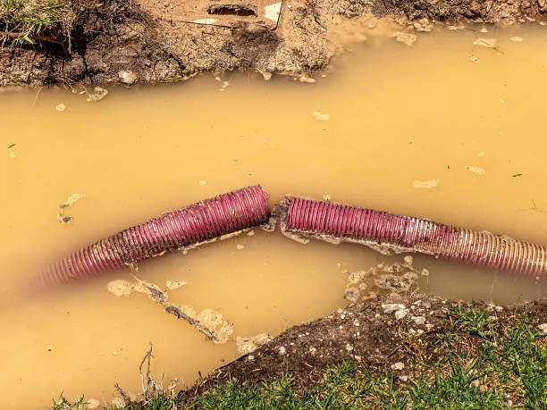 Best Water damage restoration near me  in Middleburg Heights, OH