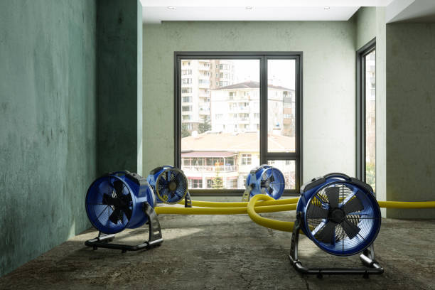 Best Flood restoration services  in Middleburg Heights, OH